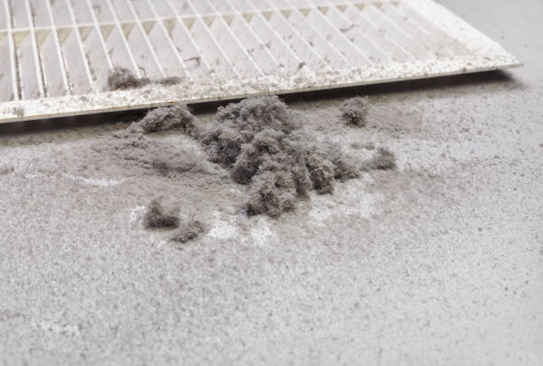 Best Air Duct Cleaning Near Me  in Mikes, TX