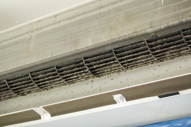 Best Residential Air Duct Cleaning  in Mikes, TX